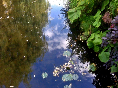 Monet's Garden at Giverny