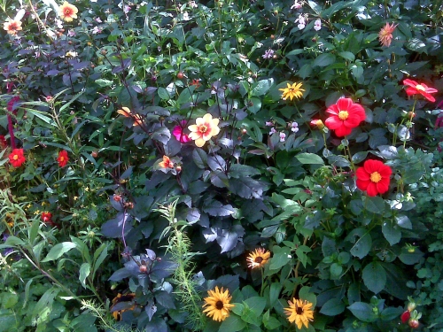 Monet's Garden at Giverny