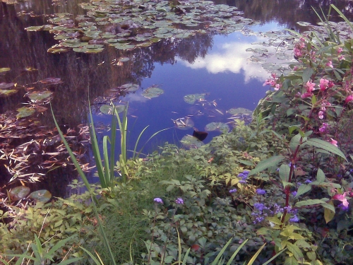 Monet's Garden at Giverny